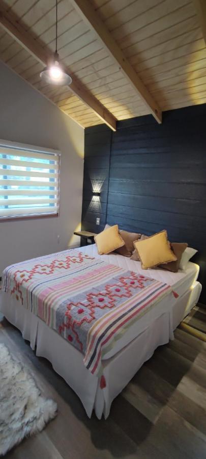 Cabanas Alto Bosque Pucón المظهر الخارجي الصورة